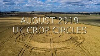 Житните кръгове през август 2019