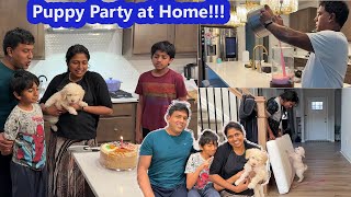 Unexpected 1st Time Puppy Party at Home with Cake Cutting ~ Friends Food & Fun ~Family Traveler VLOG