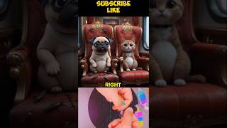 You Go In The Dirty Chair! #puppy #pug #kitten