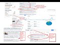 SEO Catalyst Pro Work Smarter No Harder
