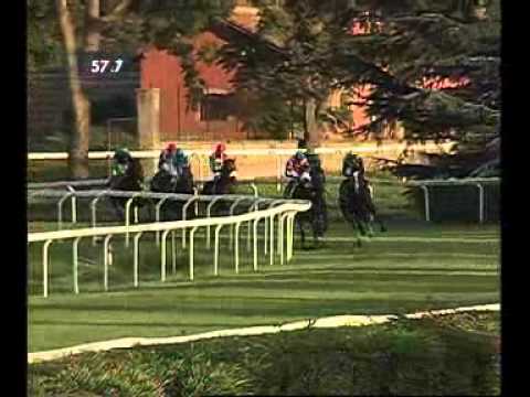 Premio Guido Berardelli 2013 (GR 3)