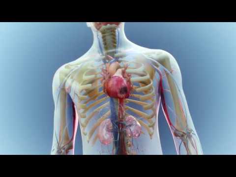 3D Medical Animation Services