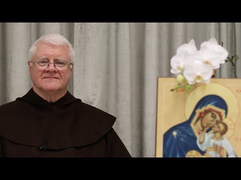 Ourl Lady of Mount Carmel by Fr Vincent O'Hara