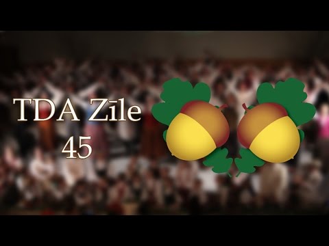 TDA Zīle - 45 gadu jubilejas koncerts