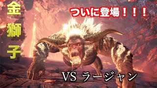 【ネタバレ注意】空虫棍で初見・ソロのラージャン　「出でよ破壊の権化」【MHWIB　】