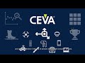 CEVA HillcrestLabs Introduction