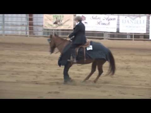 Men In Black Freestyle Reining Vandys Final Play 2011 with Sue Muir