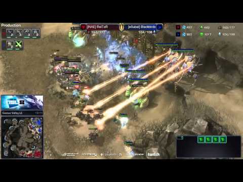 ASUS NSL8 - ReitoR vs Blackbirds