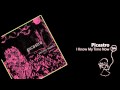 Picastro - I Know My Time Now