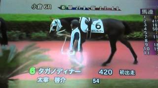 2014/8/24小倉6R メイクデビュー小倉 サラ系2歳 1200m 芝・右  牝［指定］ 新馬