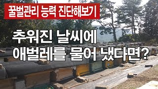 이 문제의 정답을 맞히시면 꿀벌관리의 고수, 실천하면 꿀벌관리의 신