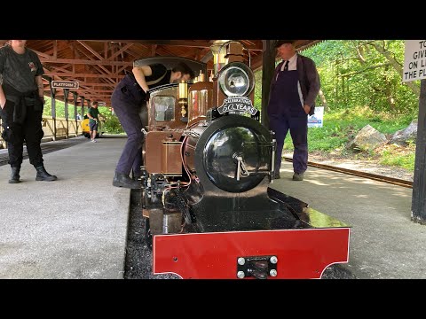 Trago steam gala 2025
