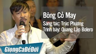 Video hợp âm Buồn Vào Đêm Lý Thu Thảo