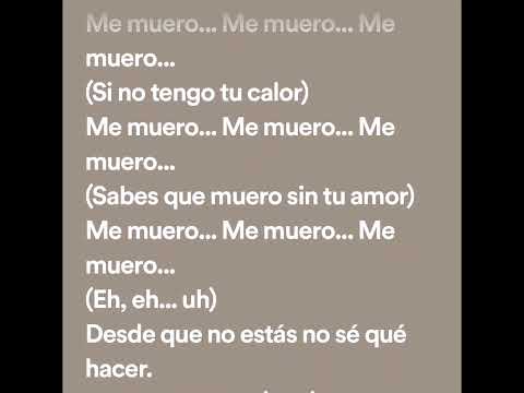 karaoke Cheka ft zorro viejo quedó asi