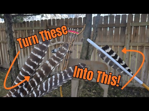 STOP buying fletching! Make your own from Wild Turkey Feathers.