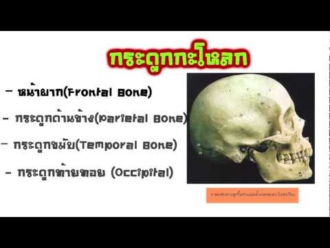 เชื้อโรคหญิงทำที่บ้าน วิธีการที่จะกระตุ้นผู้หญิงมุมมอง