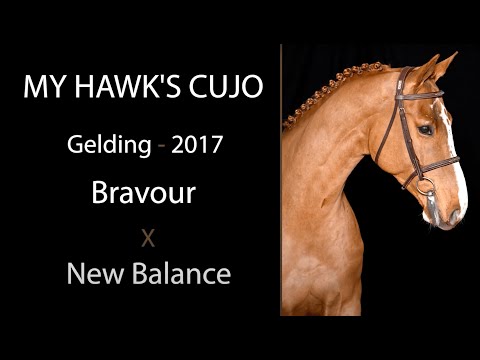 My Hawk's Cujo video