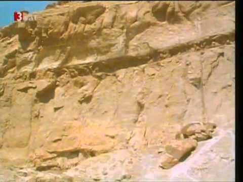 Das heutige Christentum ist nicht auf Jesus  Wahrheit ) aufgebaut 2v4    Dokumentation,Nag Hammadi