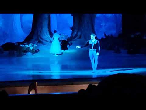 Giselle, Nikita Dolgushin version, NOVAT