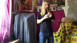 The Corrs - Joy of Life (tin whistle cover)