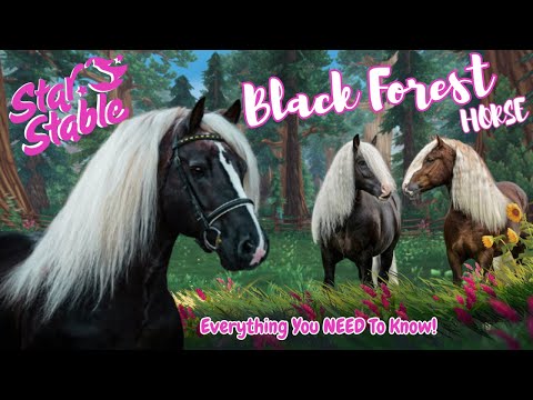 Star Stable's NEW breed the Black Forest Horse!