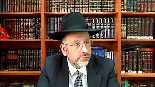 Lois de pessah un grain de ble dans mon riz