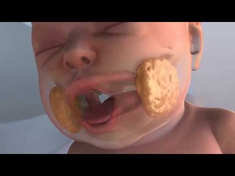 Mond en motoriek bij borstvoeding