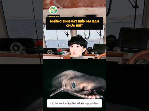 Những sinh vật biển mà bạn chưa biết phần 2 #shorts