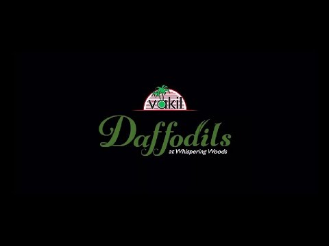 3D Tour Of Vakil Daffodils