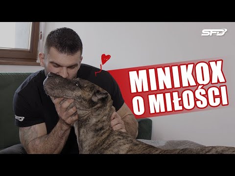 MINIKOX o miłości... KONKURS NUTLOVE 😍