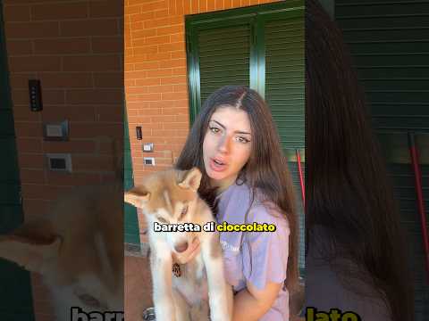 È Stata Una Cattivona #shorts #comedy #comedia