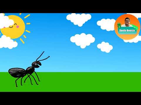 QUANDO VÊ UMA CARETA | Música para trabalhar Rápido e Lento | DANILO BENÍCIO BATUCADAN