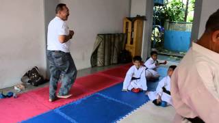 preview picture of video 'Kumite Best Practice, Dojo 05, Feb 24, 2014'