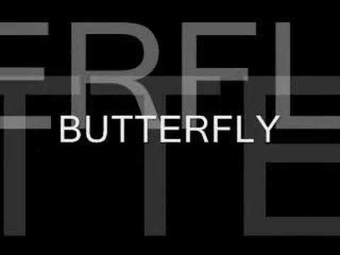 Butterfly video