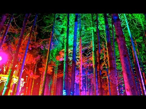 Welcome to the Electric Forest: 2014 Hype Up