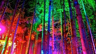 Welcome to the Electric Forest: 2014 Hype Up
