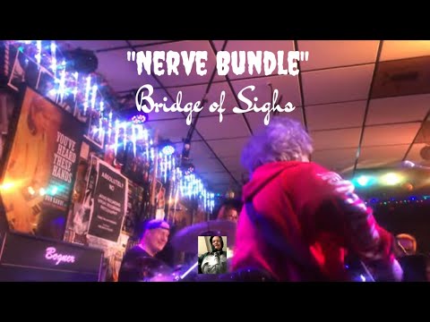 "Nerve Bundle": - Carlsson, Babko, Bissonette, Lukather -  Bridge of Signs at The Spud 12-15-22