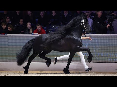 HK 2024 Winnaar Rubriek 4 | Boet 516