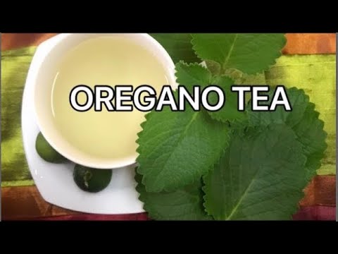HOW TO MAKE OREGANO TEA AT HOME - Natural remedy for cough and cold | Immune system booster