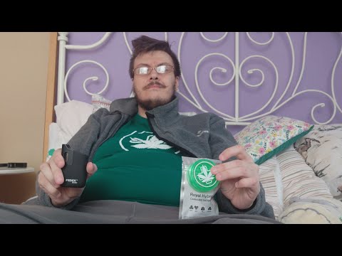 Gandzia Test - Royal Hybrid - Sensi Hemp