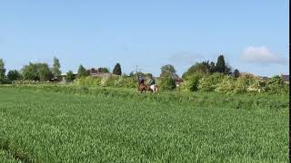 Stonehenge and Shakatak Alenaya early morning gallop