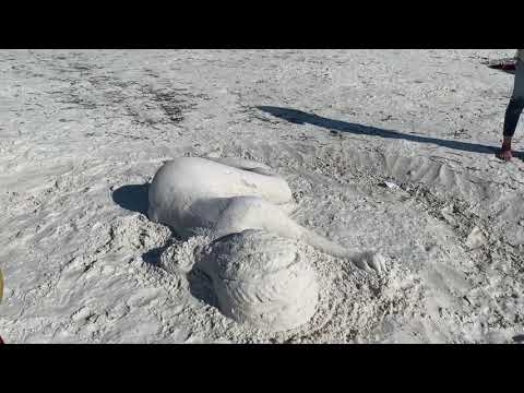 Mermaid found on USA beach