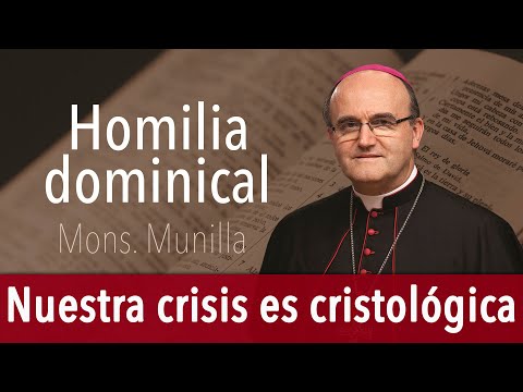 Homilía 18.1.2026 / Domingo 2º del Tiempo Ordinario