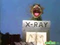 Sesame Street X Marks The Spot