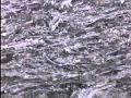 Smelt ON Their Spawning Beds