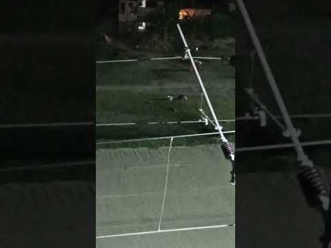 berham Insan ne kiya kar diya raat ko 2 minut per trending video India YouTube video #viral