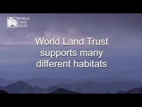 Education - Habitats