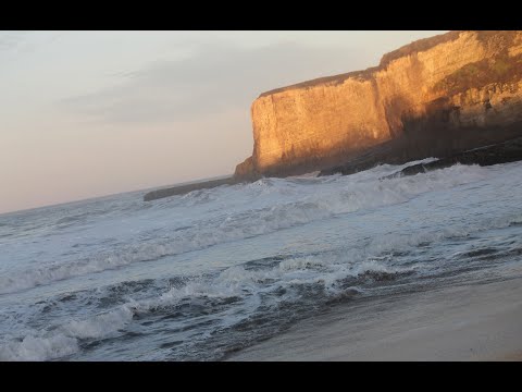 INTRO TO LIFE SCIENCE: Building Blocks of Molecules