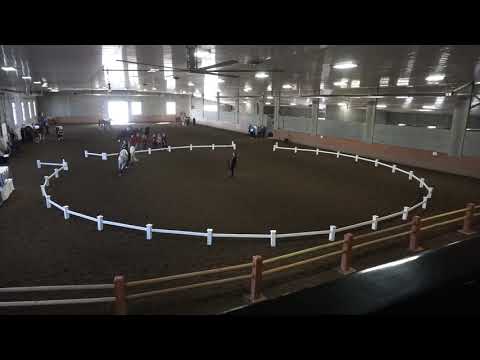 High Kick   Daniel Klotz Dedora   Freestyle R1   Canter B Men   MC competition 2019