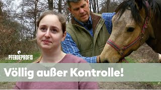 Zu gefährlich? Muss dieses Pferd aufgegeben werden? 😦| Die Pferdeprofis | VOX